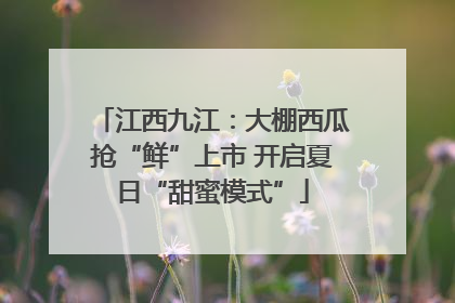 江西九江：大棚西瓜抢“鲜”上市 开启夏日“甜蜜模式”