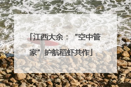 江西大余：“空中管家”护航稻虾共作
