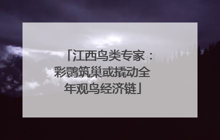 江西鸟类专家：彩鹮筑巢或撬动全年观鸟经济链