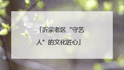 沂蒙老区“守艺人”的文化匠心