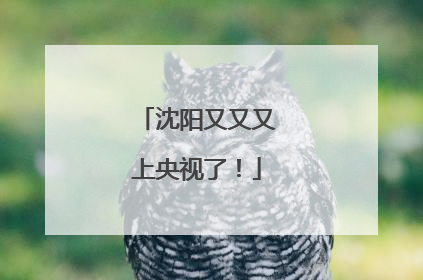 沈阳又又又上央视了！