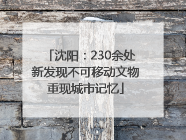 沈阳：230余处新发现不可移动文物重现城市记忆