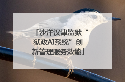 沙洋汉津监狱“狱政AI系统”创新管理服务效能
