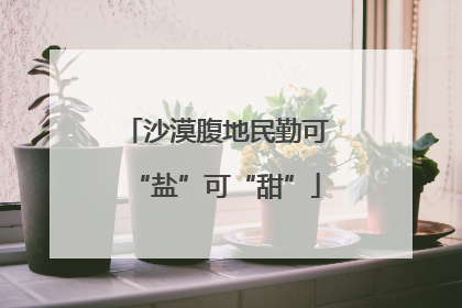 沙漠腹地民勤可“盐”可“甜”