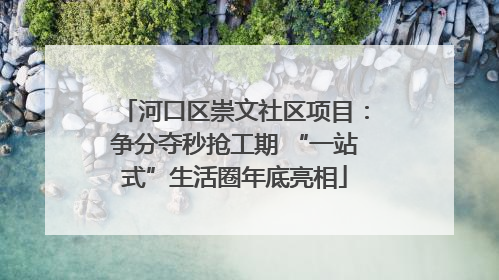 河口区崇文社区项目：争分夺秒抢工期 “一站式”生活圈年底亮相