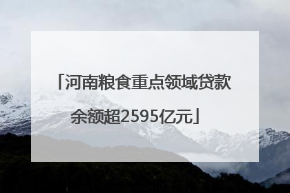河南粮食重点领域贷款余额超2595亿元