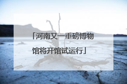河南又一重磅博物馆将开馆试运行