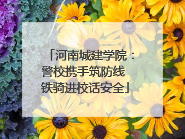 河南城建学院：警校携手筑防线 铁骑进校话安全