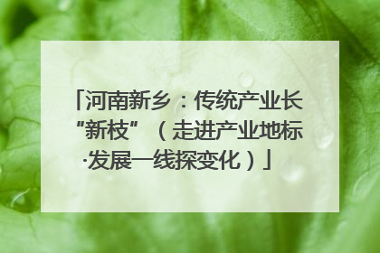河南新乡：传统产业长“新枝”（走进产业地标·发展一线探变化）
