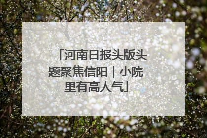 河南日报头版头题聚焦信阳｜小院里有高人气