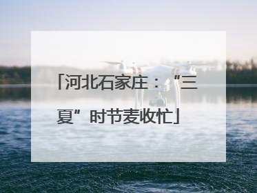 河北石家庄：“三夏”时节麦收忙