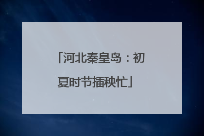 河北秦皇岛：初夏时节插秧忙