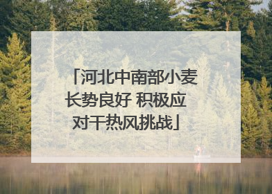 河北中南部小麦长势良好 积极应对干热风挑战