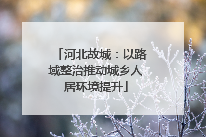 河北故城：以路域整治推动城乡人居环境提升