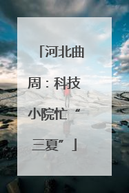 河北曲周：科技小院忙“三夏”