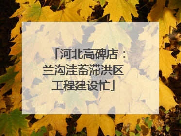 河北高碑店：兰沟洼蓄滞洪区工程建设忙
