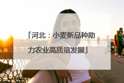 河北：小麦新品种助力农业高质量发展
