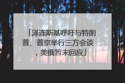 泽连斯基呼吁与特朗普、普京举行三方会谈，美俄暂未回应