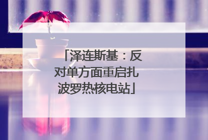 泽连斯基：反对单方面重启扎波罗热核电站