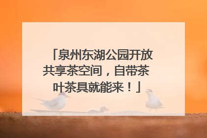 泉州东湖公园开放共享茶空间，自带茶叶茶具就能来！