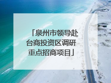 泉州市领导赴台商投资区调研重点招商项目