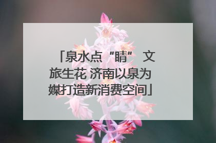 泉水点“睛” 文旅生花 济南以泉为媒打造新消费空间