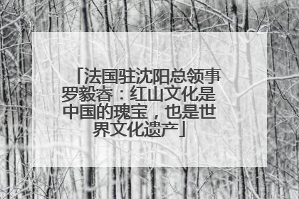 法国驻沈阳总领事罗毅睿：红山文化是中国的瑰宝，也是世界文化遗产