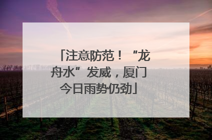 注意防范！“龙舟水”发威，厦门今日雨势仍劲