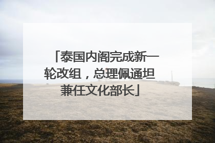 泰国内阁完成新一轮改组，总理佩通坦兼任文化部长