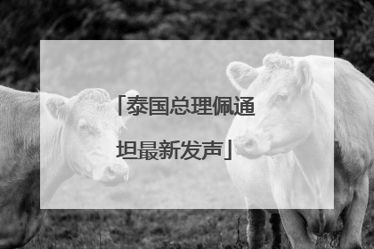 泰国总理佩通坦最新发声