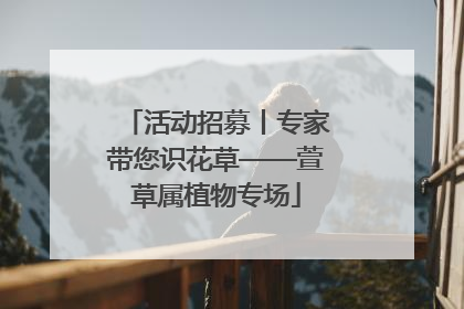 活动招募丨专家带您识花草——萱草属植物专场
