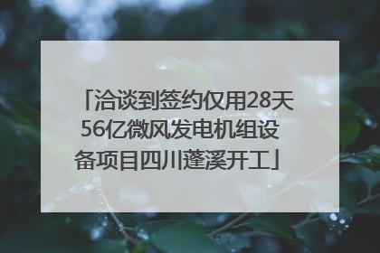 洽谈到签约仅用28天 56亿微风发电机组设备项目四川蓬溪开工