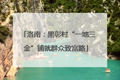 洛南：黑彰村“一地三金”铺就群众致富路