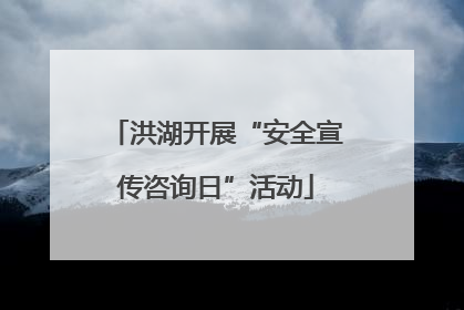 洪湖开展“安全宣传咨询日”活动