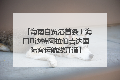海南自贸港首条！海口⇌沙特阿拉伯吉达国际客运航线开通