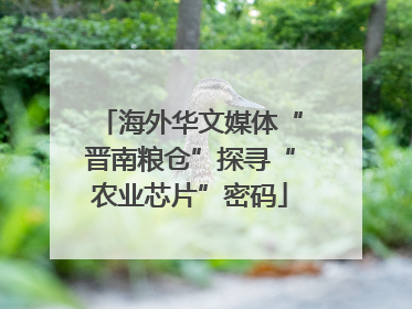 海外华文媒体“晋南粮仓”探寻“农业芯片”密码