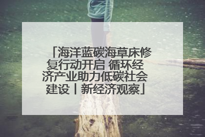 海洋蓝碳海草床修复行动开启 循环经济产业助力低碳社会建设丨新经济观察
