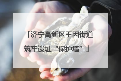济宁高新区王因街道筑牢遗址“保护墙”