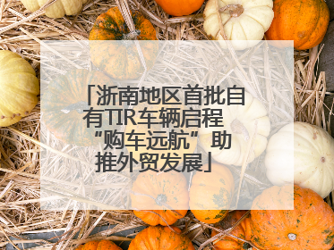 浙南地区首批自有TIR车辆启程 “购车远航”助推外贸发展