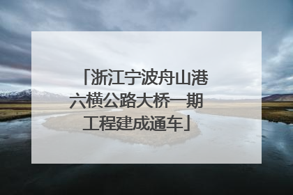 浙江宁波舟山港六横公路大桥一期工程建成通车