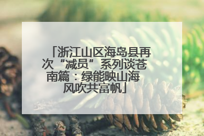 浙江山区海岛县再次“减员”系列谈苍南篇：绿能映山海 风吹共富帆
