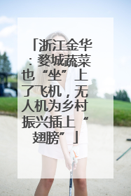 浙江金华：婺城蔬菜也“坐”上了飞机，无人机为乡村振兴插上“翅膀”