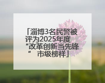 淄博3名民警被评为2025年度“改革创新当先锋” 市级榜样