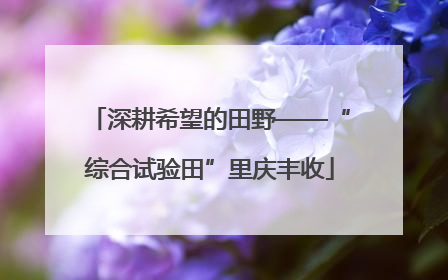 深耕希望的田野——“综合试验田”里庆丰收