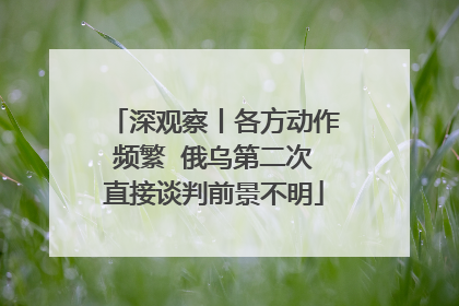深观察丨各方动作频繁  俄乌第二次直接谈判前景不明