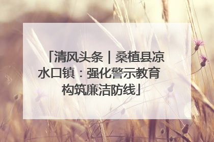 清风头条｜桑植县凉水口镇：强化警示教育 构筑廉洁防线