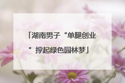 湖南男子“单腿创业”撑起绿色园林梦