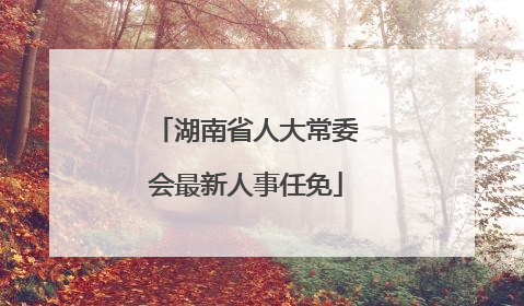 湖南省人大常委会最新人事任免
