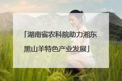 湖南省农科院助力湘东黑山羊特色产业发展