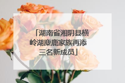 湖南省湘阴县横岭湖麋鹿家族再添三名新成员